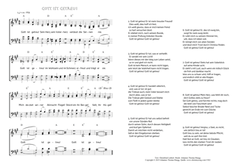 Hymn score of: Gott ist getreu! Sein Herz, sein Vaterherz (Ehrenfried Liebich/Johannes Thomas Rüegg)
