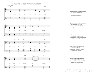 Hymn score of: Du schöne Lilie auf dem Feld - Sehet die Lilien auf dem Felde (Carl Johann Philipp Spitta/Johannes Thomas Rüegg)
