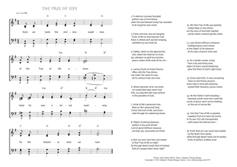Hymn score of: Soon we taste the endless sweetness - The Tree of life (John Nelson Darby/Johannes Thomas Rüegg)